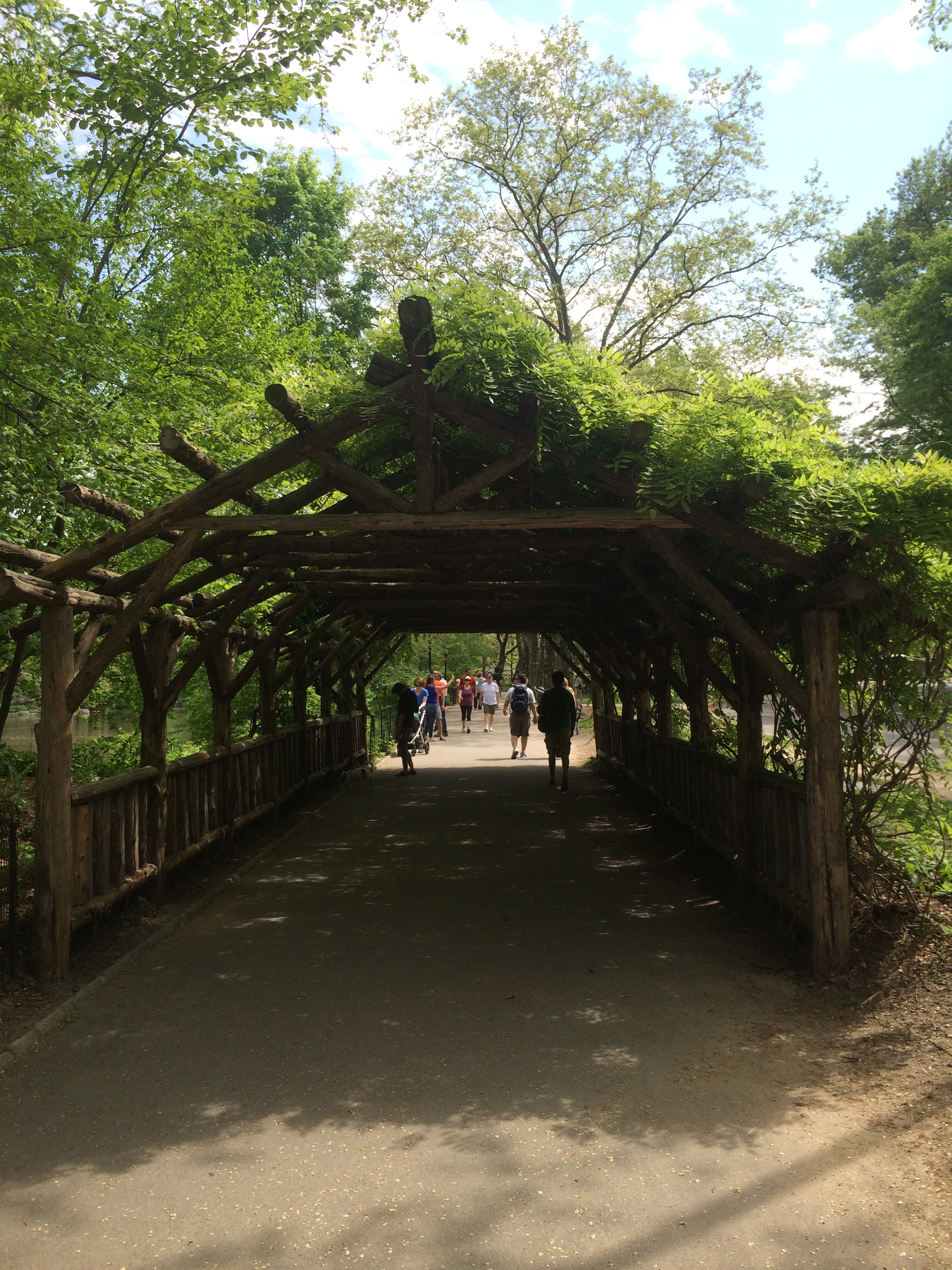 Covered Walkway In Central Park