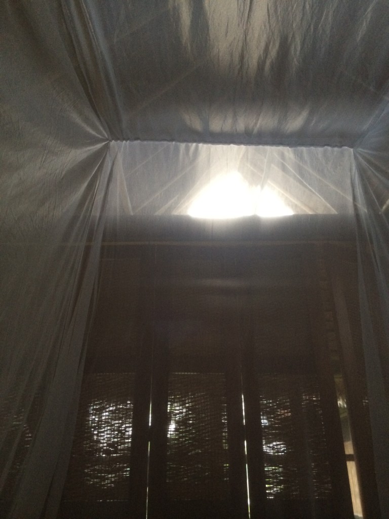 Sunrise Thrugh Mosquito Netting