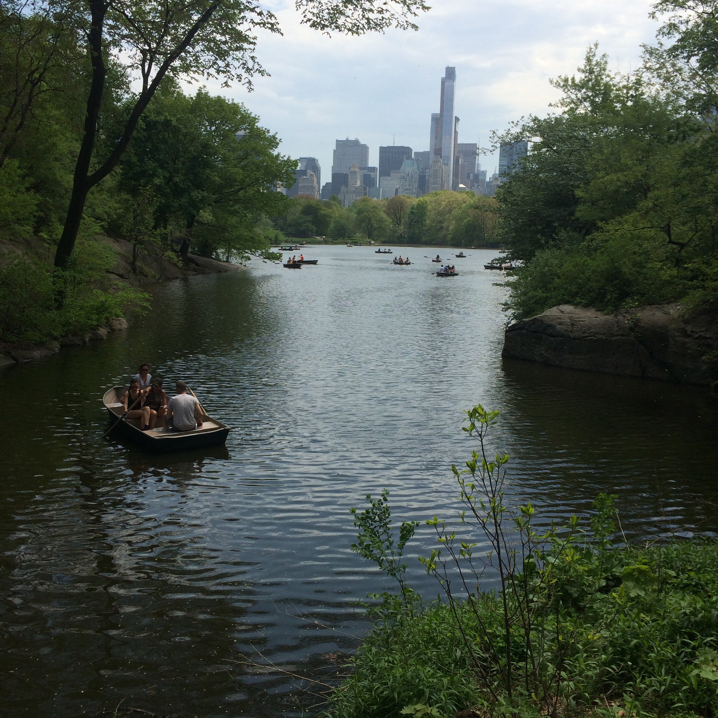 The Lake In Central Park