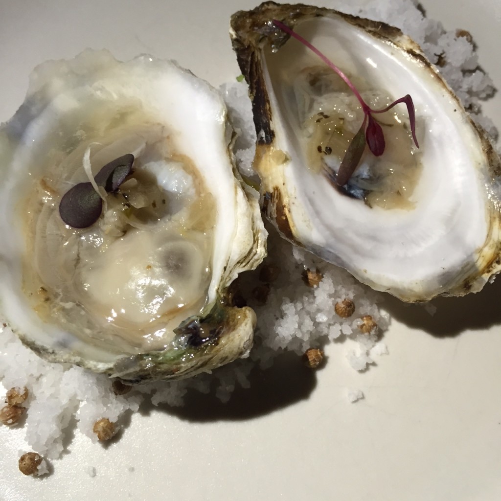 Malbeque Oysters