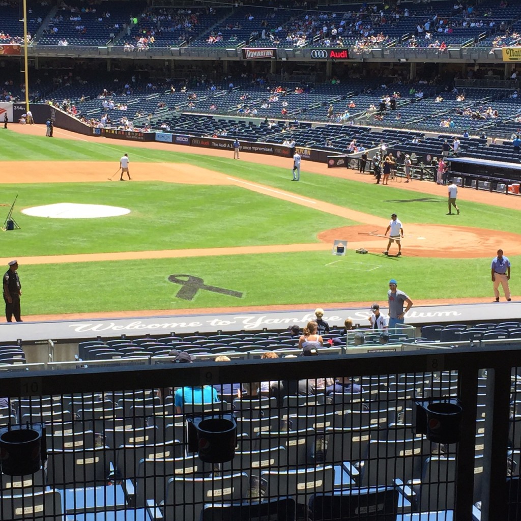 Yankee Stadium, June 24th, 2015