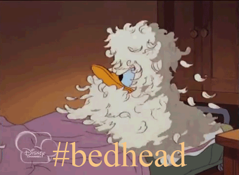 Bed Head Epidemic…