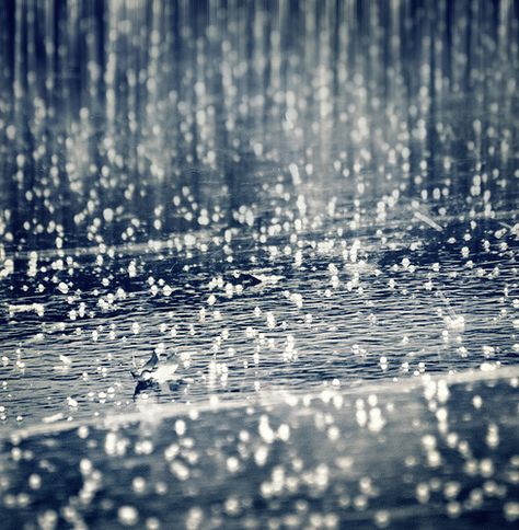 Rhythm Of The Rain…