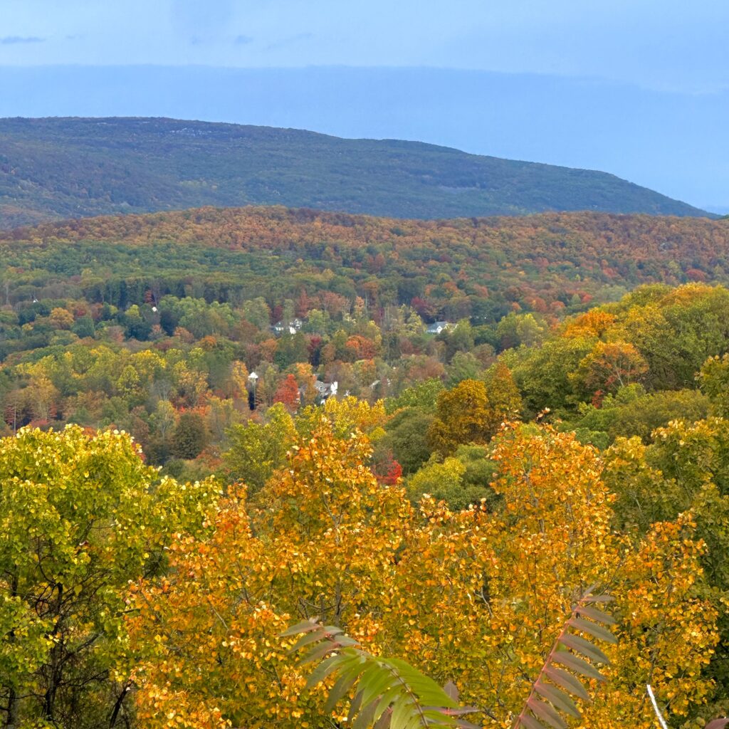 Autumn In New York…