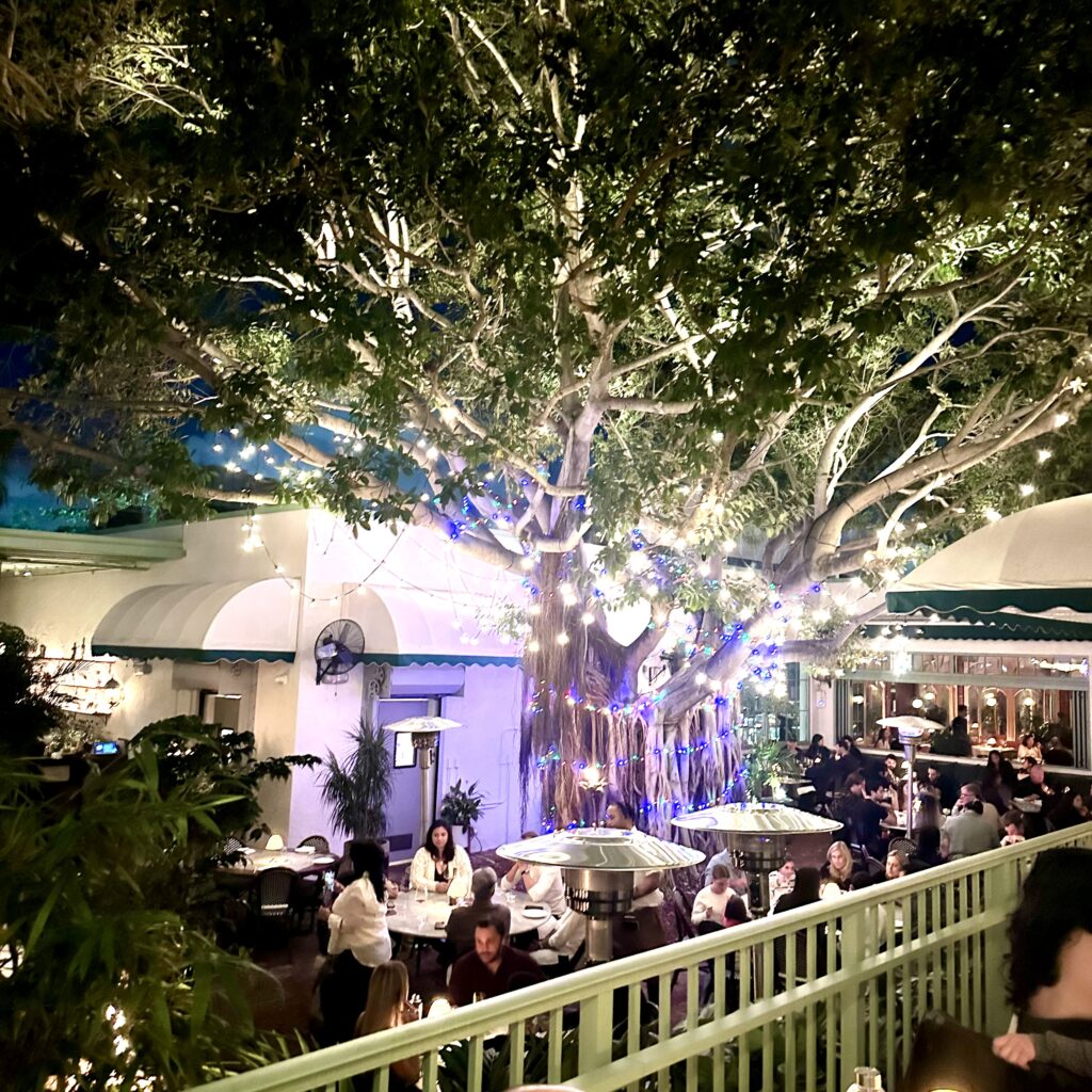 Sunny, One So True…Miami Restaurant Review